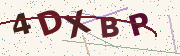 Security code image
